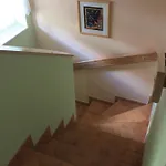 Fischer Apartment